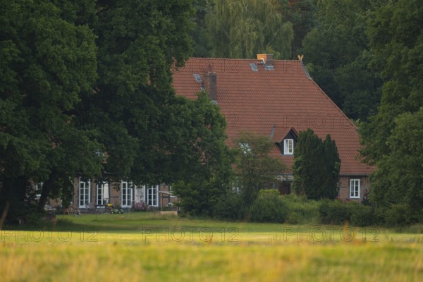 View across a meadow in the evening light to a farmhouse at the edge of the forest, Ahlden,