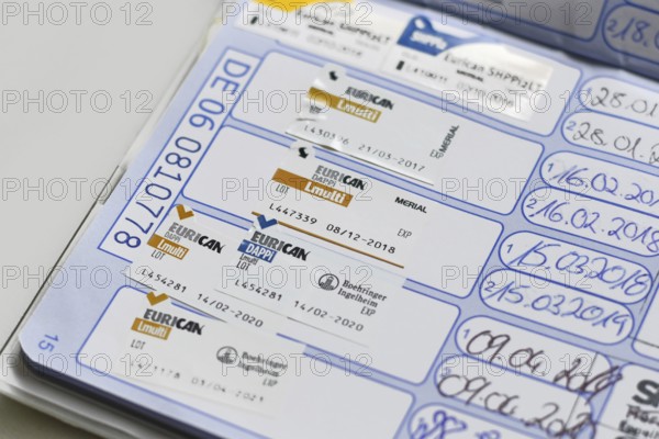 Germany - August 2025: Close up of dog vaccine passport with Eurican DAPPi Lmulti vaccination