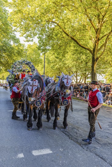 Splendid carriage of the Löwenbräu brewery, entry of the Oktoberfest hosts, Oktoberfest, Munich,