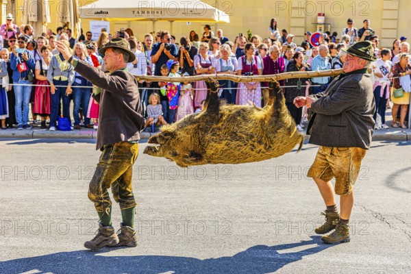 Members of the Bavarian Hunting Association from Munich carry a wild boar, Trachten- und