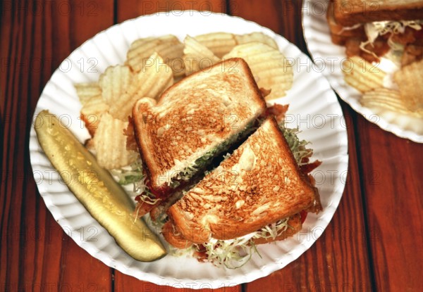 BLT, bacon, lattuce, tomato, with toast cucumber and chips on a paper plate, served in a diner,