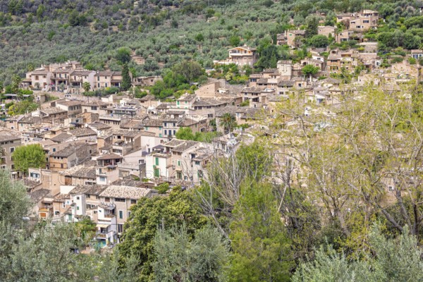 View at an old idyllic village on a mountainside with houses and lush green trees, Sóller,