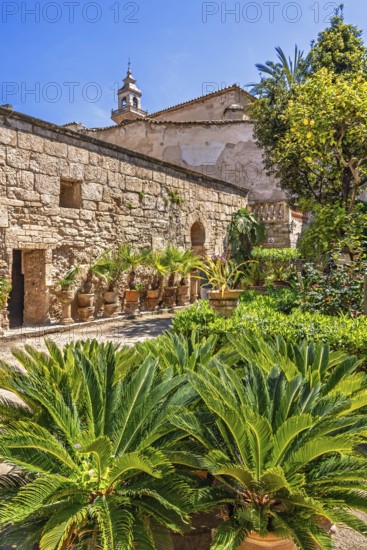 Lush green botanical garden a peaceful oasis at the Arab Baths in the old town in Palma a sunny