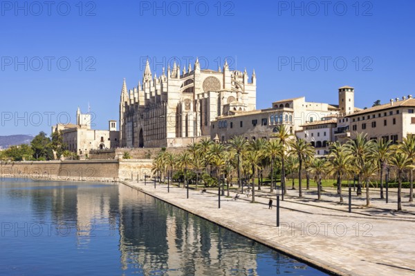 View at the famous Palma Cathedral with a water pond and palm trees in a park a sunny summer day,
