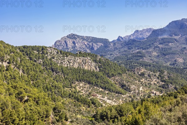 Scenics view at a mountainous valley landscape at the Serra de Tramuntana mountain range with green