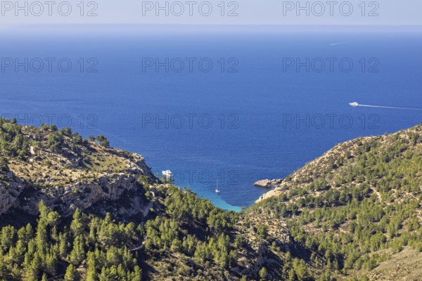 Scenics view at a sea bay with boats from a mountain with green forest and a seascape view to the