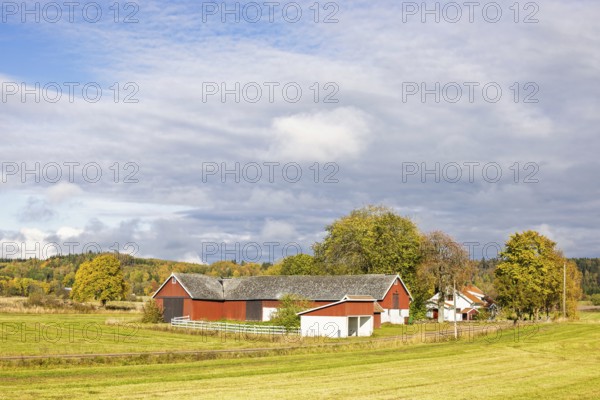 Farmhouse with a red barn in the countryside with fields and a grove of trees a beautiful sunny
