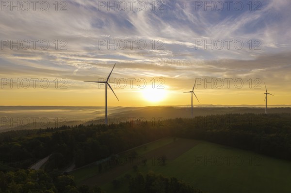 Wind turbines stretch across fields in the gentle sunlight that creates a peaceful horizon, near