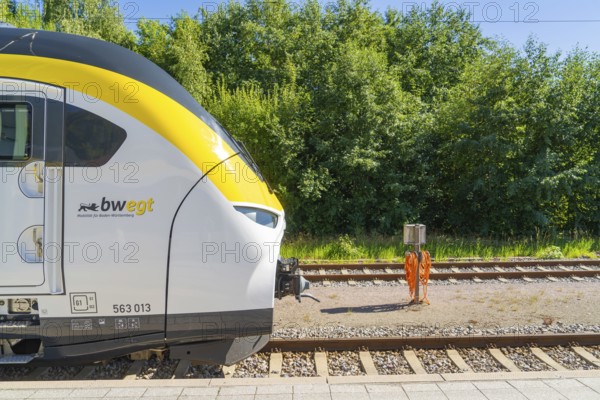 Train next to green vegetation and tracks on a sunny platform, battery Electric train with green
