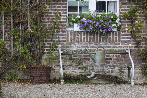 Rustic garden bench on a brick wall with flowering plants and watering can. Rural and cosy