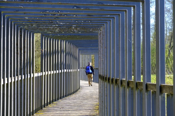 Heusterzbrücke, Waldnaabaue, Große Teichpfanne, Vizinalradweg, near Tirschenreuth, Upper