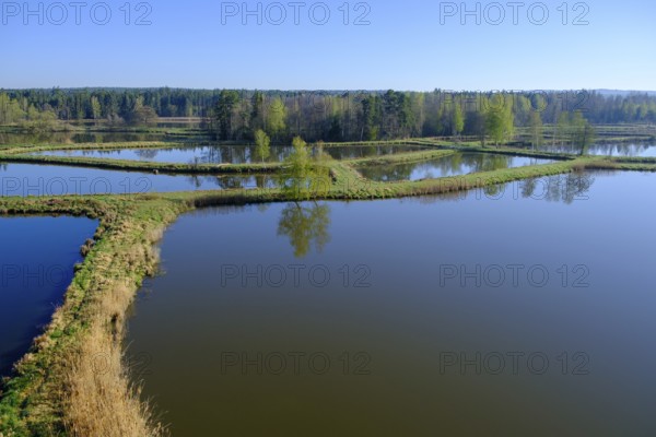 Tirschenreuther Teiche, Waldnaabaue, Große Teichpfanne, Vizinalradweg, near Tirschenreuth, Upper