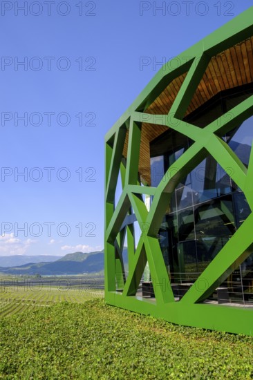 Tramin Winery, Tramin, Wine Route, South Tyrol, Italy