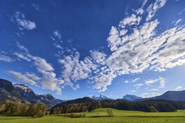 Weather, clouds, sky, landscape, mountains, meadow, coniferous forest, blue sky, cumulus clouds,