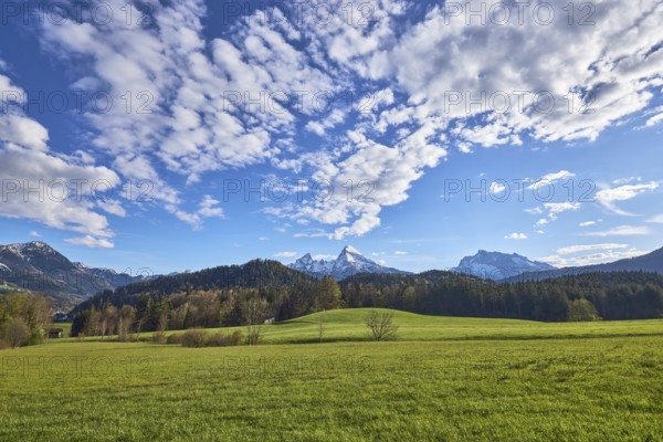 Landscape photography, mountain landscape, mountains, meadow, hill, coniferous forest, trees, blue