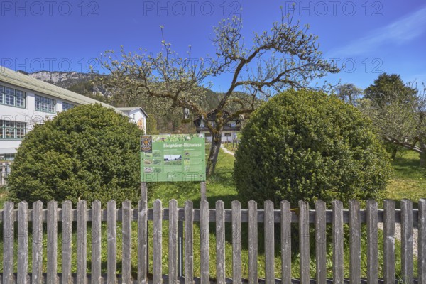 Biosphere flowering meadow, garden, trees, lawn, shrubs, wooden fence, general architecture,