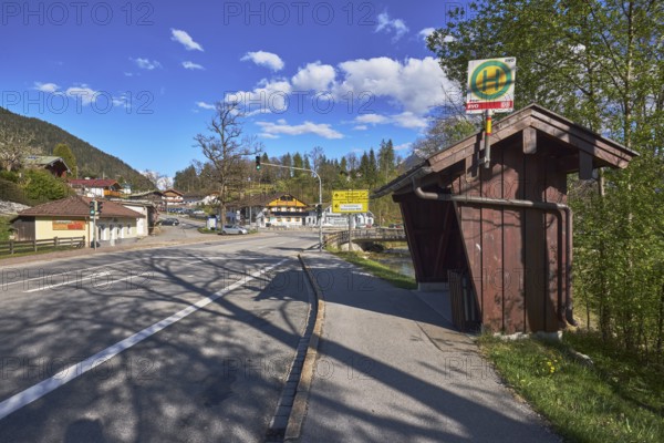 Bus stop, road, traffic lights, trees, hill, coniferous forest, building, shadow, blue sky, cumulus