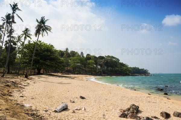 Sandy beach beach and coconut palms, Secret Beach, Sala Dan, Ko Lanta, Koh Lanta, Krabi Province,