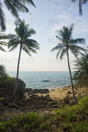 Sandy beach beach and coconut palms, Tricky-Trocky Beach, Sala Dan, Ko Lanta, Koh Lanta, Krabi