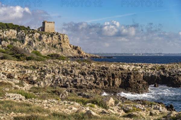 The Torre dell'Alto watchtower on the coast of the Porto Selvaggio nature reserve, Santa Caterina,