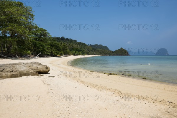 White sandy beach and coconut palms, Paradise Beach, Koh Great white shark, Ko Ngai, Krabi