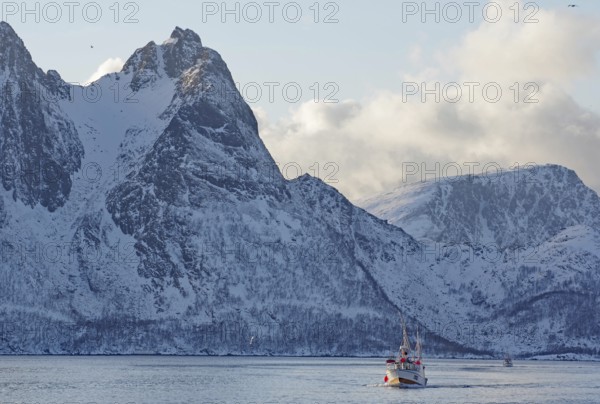 A fishing boat in calm waters in front of impressive snow-capped mountains, Myre, Vesteralen,