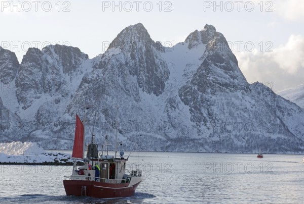 A red fishing boat sails through the wintry sea in front of snow-covered mountains, Myre,