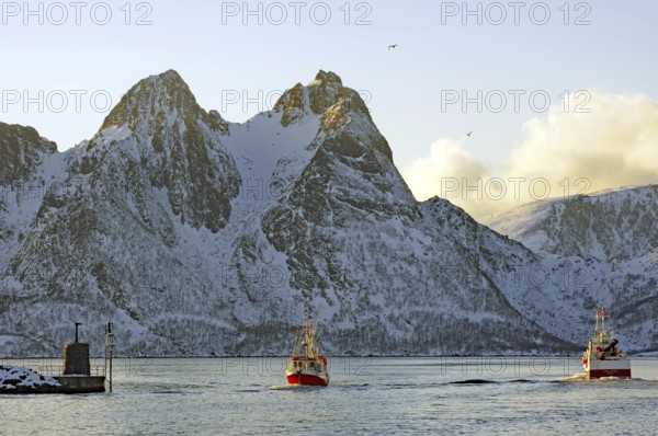 Two fishing boats sailing through the sea in front of snow-covered mountains, Myre, Vesteralen,