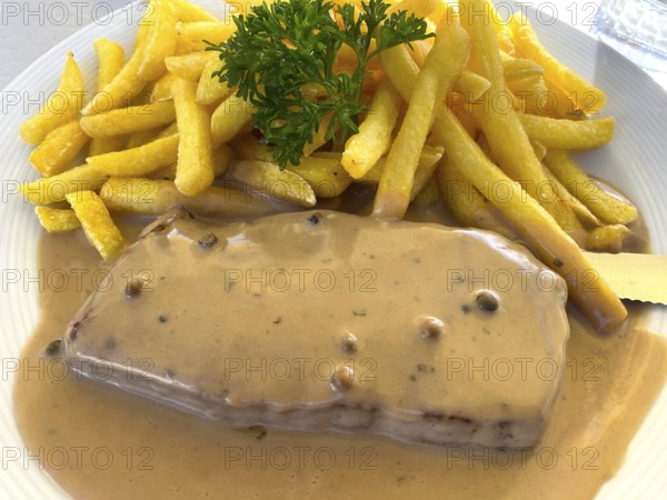 Portion of pepper steak, beef steak with pepper sauce, pepper sauce, French fries, on a plate,