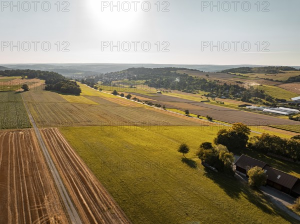 Green and golden fields under a sunny sky, far-reaching and idyllic, Gechingen, district of Calw,