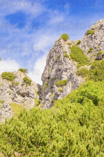 Steep rock formations with green vegetation against a blue sky, Herzogstand summit, Walchensee,