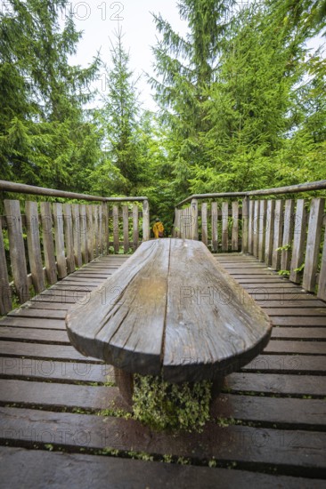 A rustic wooden table stands on a footbridge in a green forest and invites you to linger,