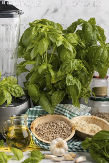 Basil next to a blender, with bowls full of pesto ingredients such as sunflower seeds, garlic and