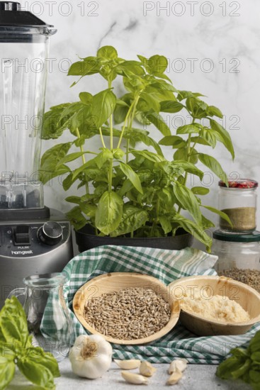 Basil next to a blender, with bowls full of pesto ingredients such as sunflower seeds and Parmesan