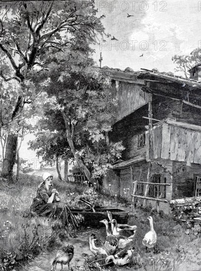 Goosekeeper, Girl sits by a small stream in front of the farmhouse and tends the geese, 1890,