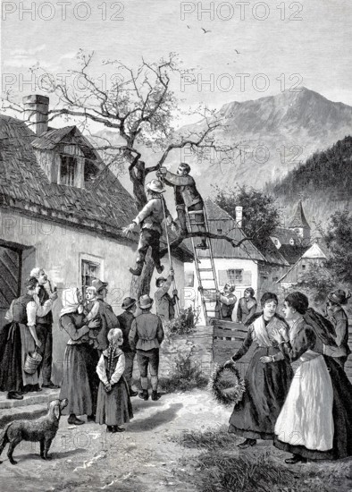 According to tradition, unmarried woman might be given a straw doll on their doorstep at Whitsun.