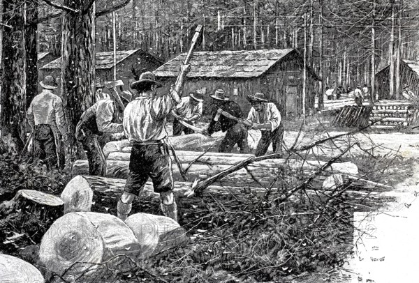 Woodworker in a forest destroyed by pests, here by the moth nun, Lymantria monacha, 1890,