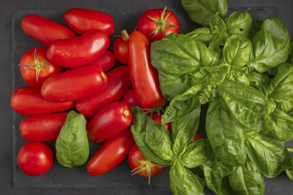 Fresh tomatoes and basil arranged on a dark slate plate