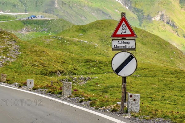 Traffic sign Warning sign Warning for road users Attention marmots, below traffic sign all