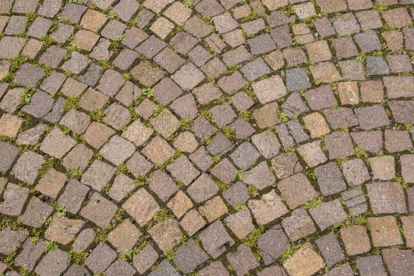 Paving stones in curved pattern with light moss growth in between, background, texture, North