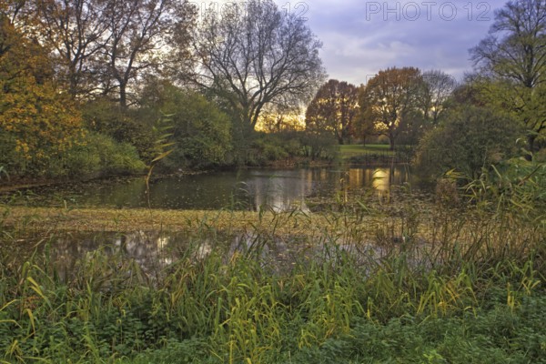 A moat in an autumnal evening mood with colourful trees and a peaceful atmosphere, Krefeld Castle
