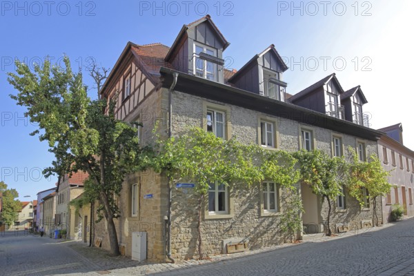 Building with grapevines, stone house, wine route, Volkach, Lower Franconia, Franconia, Bavaria,