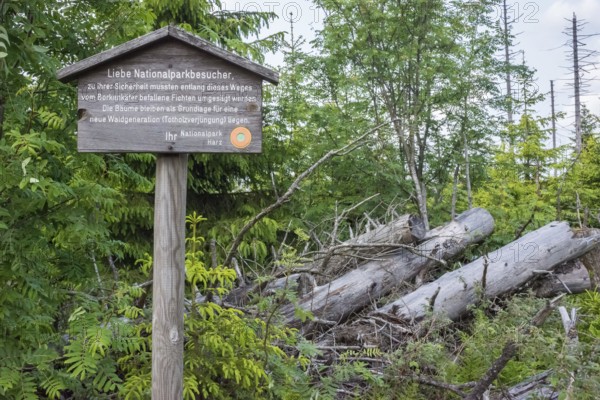 Signpost for bark beetle infestation, felling of trees and deadwood regeneration, wooden sign with