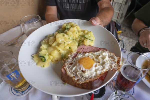 Leberkäse with fried egg and potato salad, served in a beer garden, Munich, Bavaria, Germany