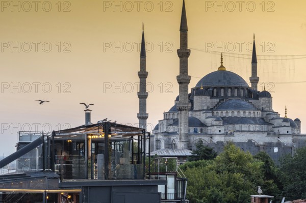 Seagulls flying over a rooftop restaurant in istanbul, turkey, with the sultan ahmed mosque in the