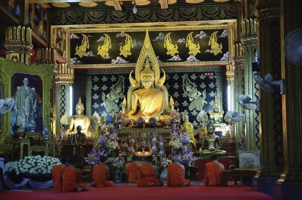Group of buddhist monks praying in traditional orange robes inside ornate temple with golden buddha