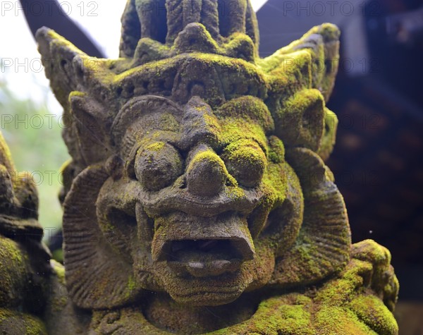 Close up of a weathered traditional balinese stone statue covered in moss, showcasing the rich