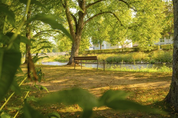 Wooden bench in a shady park by the river, surrounded by green trees, Nagold, district of Calw,