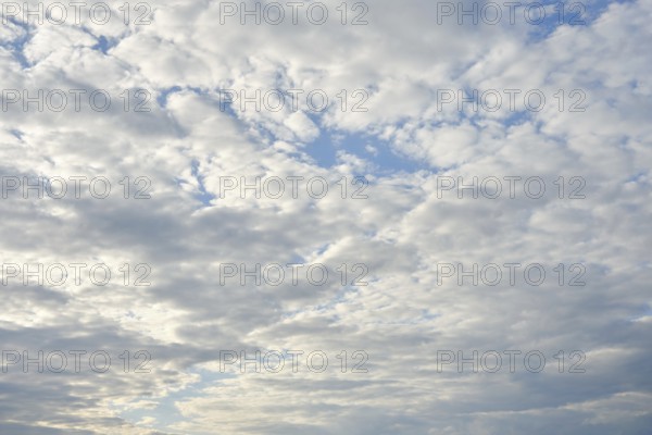 White clouds fill the sky, casting gentle shadows below. The bright blue stretches endlessly,