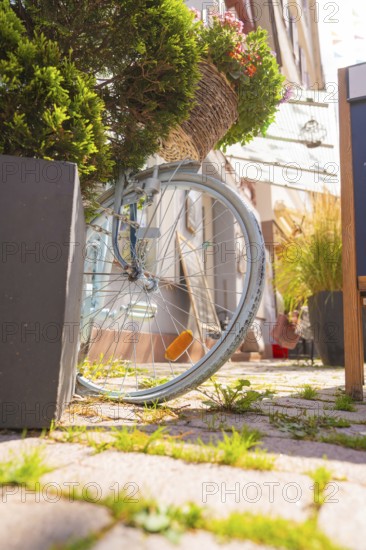 A bicycle wrapped in flowers next to shutters and in the sunshine, small town of Perle Calw,